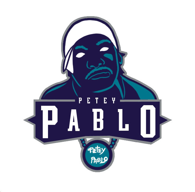 Charlotte Hornets Pablo Logo iron on heat transfer